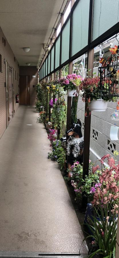 東洋の家-26 Square Meter Treadmi Garden House Apartemen *