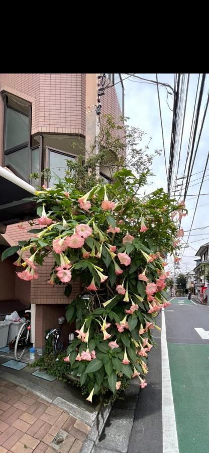 東洋の家-26 Square Meter Treadmi Garden House Apartemen Tokyo